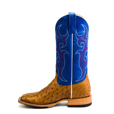 Men's Top Hand Antique Saddle Full Quill Ostrich with Blue Sinsation Top HP8005