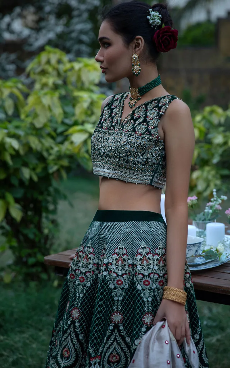 Velvet Embroidered Blouse And Lehenga